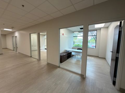 Glass-front offices with white framing
