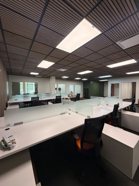 Open office workstations under a wood-slat ceiling