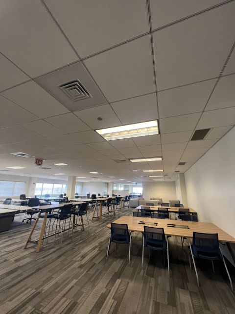 Open collaboration area with shared tables and window seating
