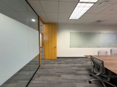 Conference room glass partition and wood door